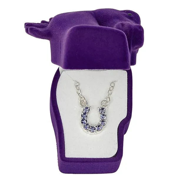 AWST RHINESTONE HORSESHOE NECKLACE
