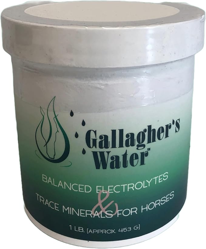 GALLAGHER'S WATER-BALANCED ELECTROLYTES