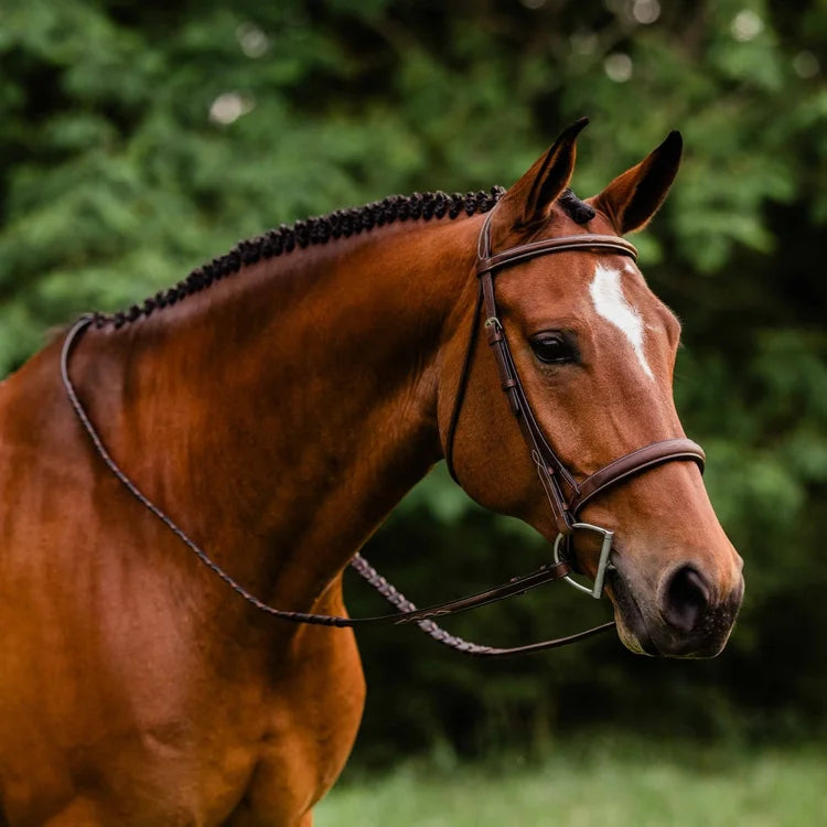 ADT STEALTH TRIBUTE BRIDLE WITH RAISED FANCY LACED REINS