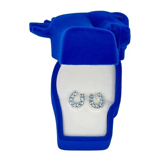 AWST RHINESTONE HORSESHOE EARRINGS