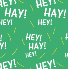 OVATION FOOTZEES BOOT SOCK