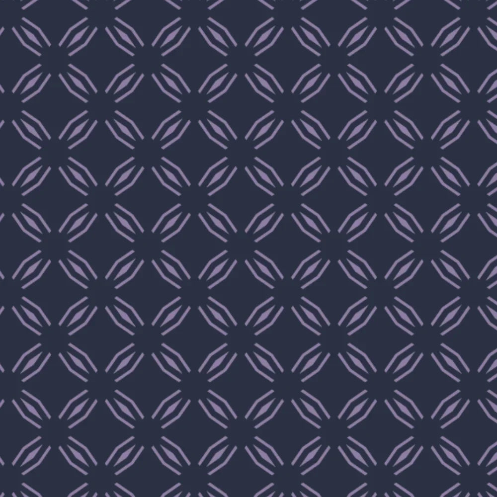 R.J. CLASSICS TORI LONG SLEEVE SHOW SHIRT