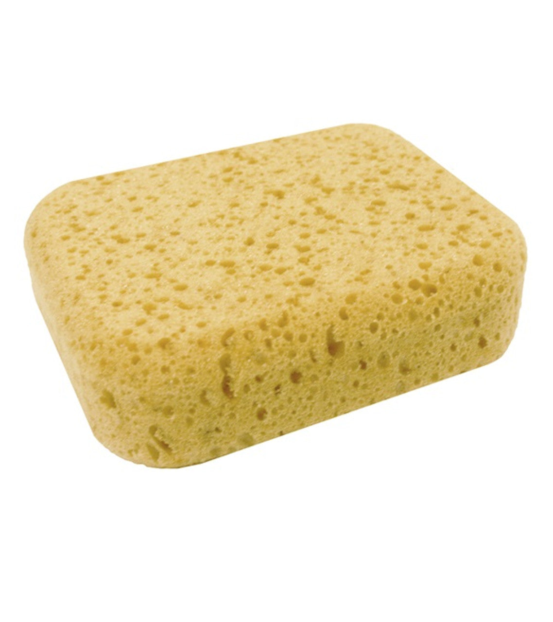 SYNTHETIC WASH SPONGE