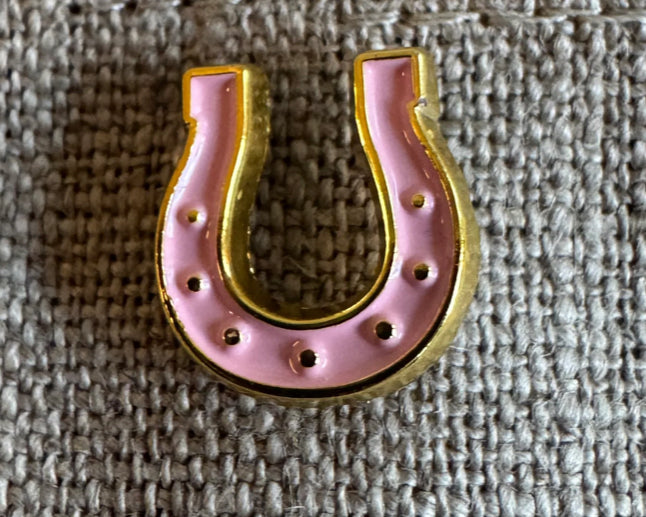 LUCKY PINK HORSESHOE PIN