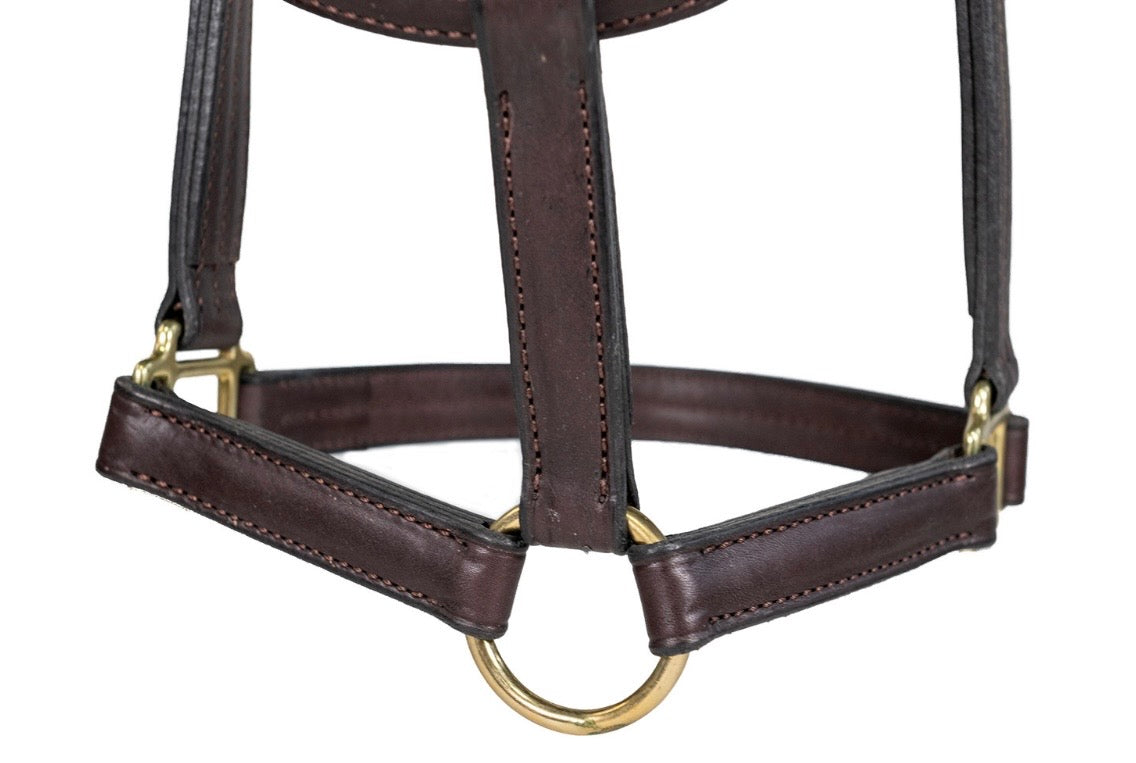 NUNN FINER TRIPLE STITCHED HALTER WITH ROLLED THROAT & SNAP
