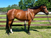 PRO4MANCE | Non-Slip Pad (Black)