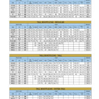 TREDSTEP SIRANI DRESS BOOT