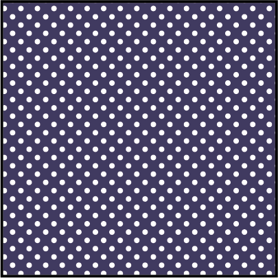 R.J. CLASSICS ELSIE SHOW SHIRT