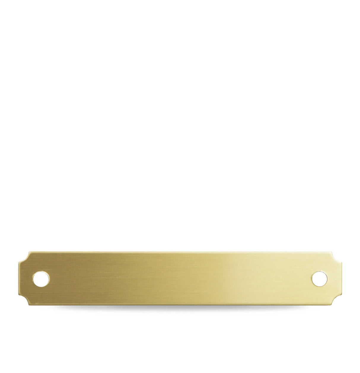 BRASS HALTER PLATE