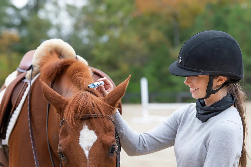 @ The In Gate Roller Blend BY THE INFUSED EQUESTRIAN