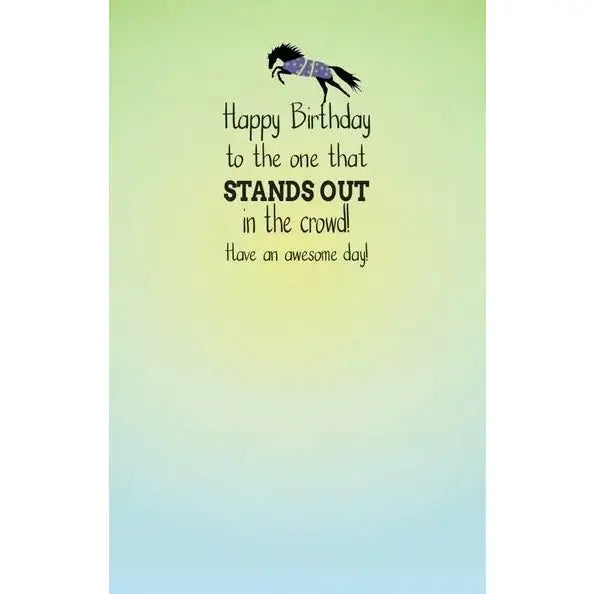 BIRTHDAY CARDS