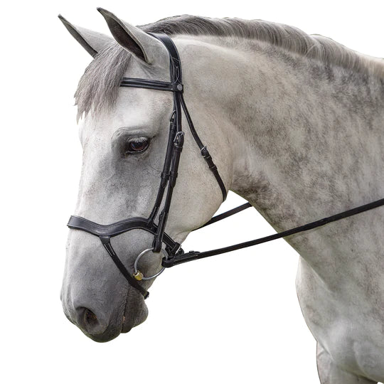 MARCEL TOULOUSE HYBRID DRESSAGE BRIDLE