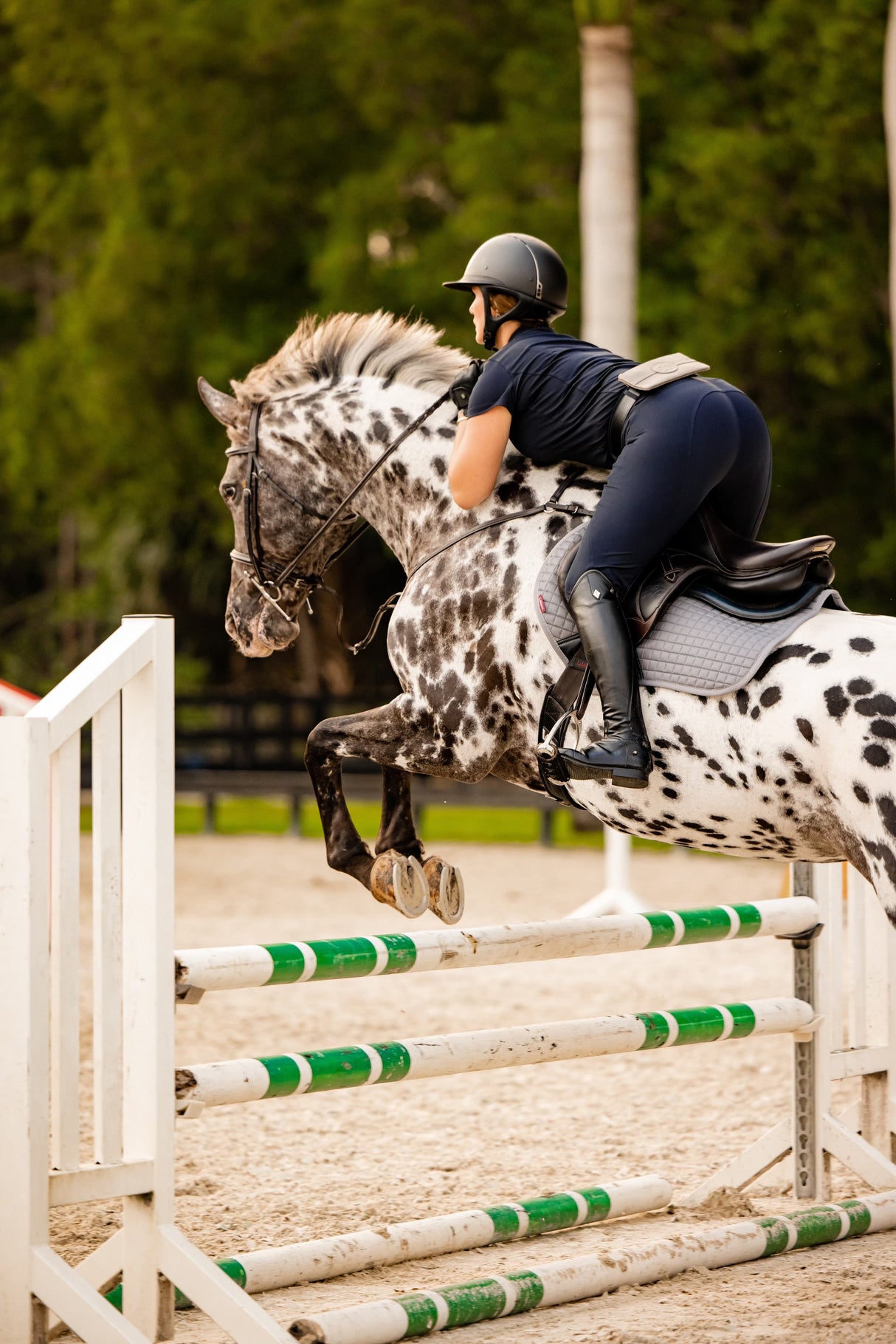 TUCKER TWEED: Stablemate