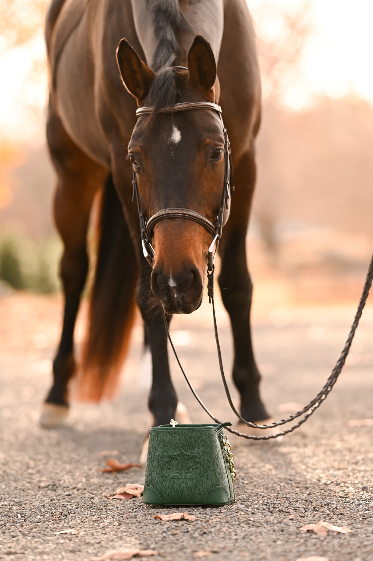 TUCKER TWEED: The Shetland