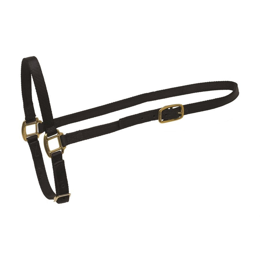 HORSE BLACK NYLON GROOMING HALTER