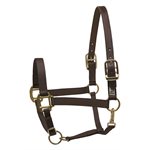 PERRI’S PREMIUM NYLON SAFETY HALTER