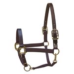 PERRI’S PREMIUM NYLON SAFETY HALTER