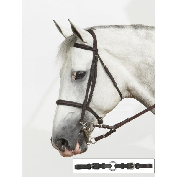 OVATION EURO BIT CONVERTERS