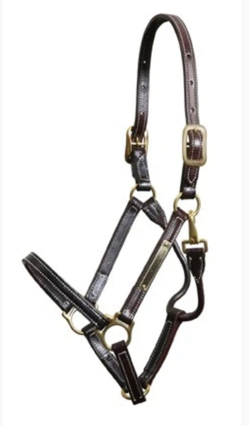 WALSH SHOWMAN HALTER