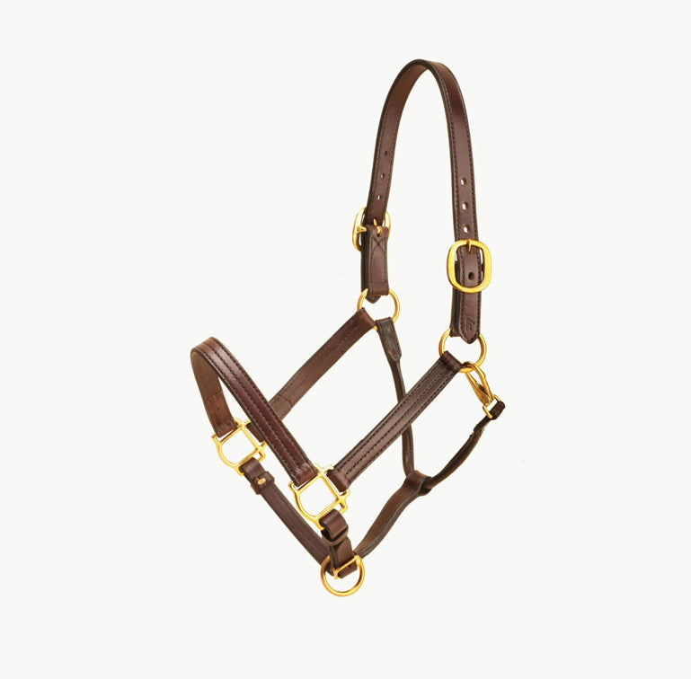 HAVANA/HAVANA STITCHING