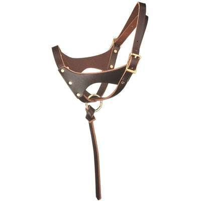 DOUBLE CROWN FOAL HALTER