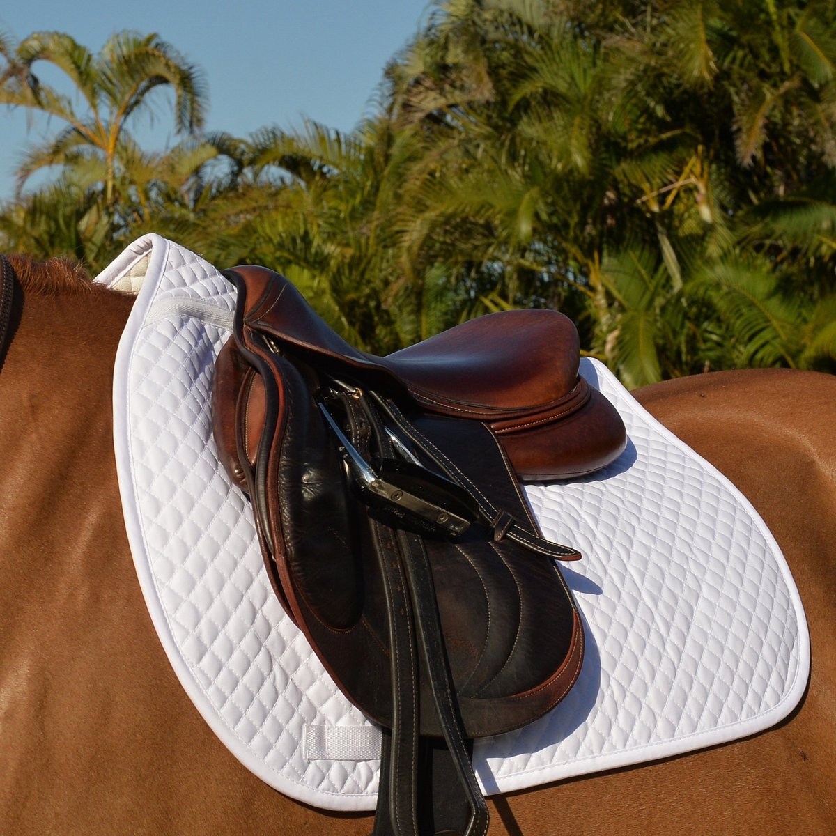 EQUIFIT ESSENTIAL® SQUARE PAD