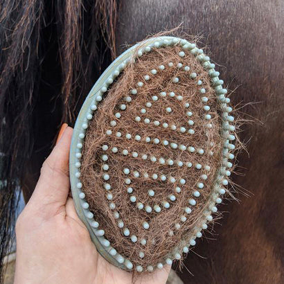 EPONA FLEXIBLE GLOSSY GROOMER