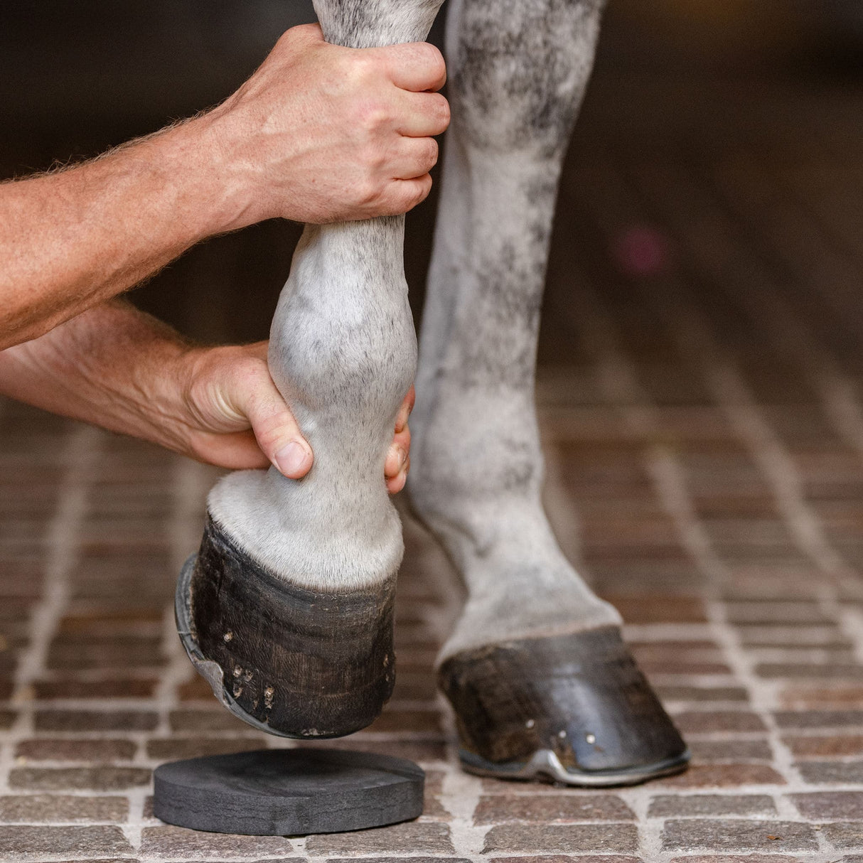 EQUIFIT HOOFSAVERS™