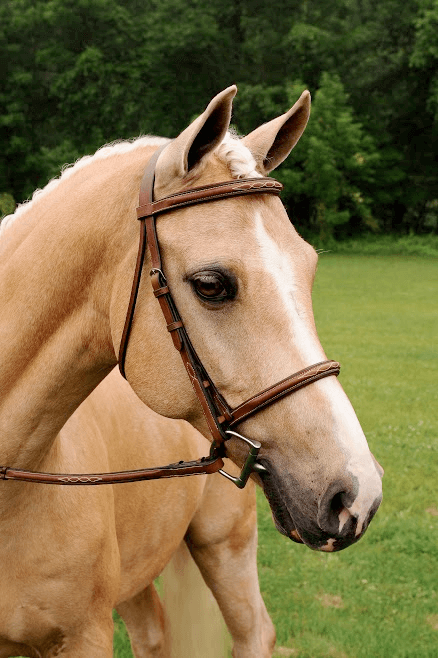 ADT IMPERIAL MONO CROWN BRIDLE WITH RAISED FANCY LACED REINS