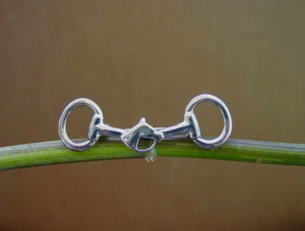 BIT W/ HORSEHEAD PIN