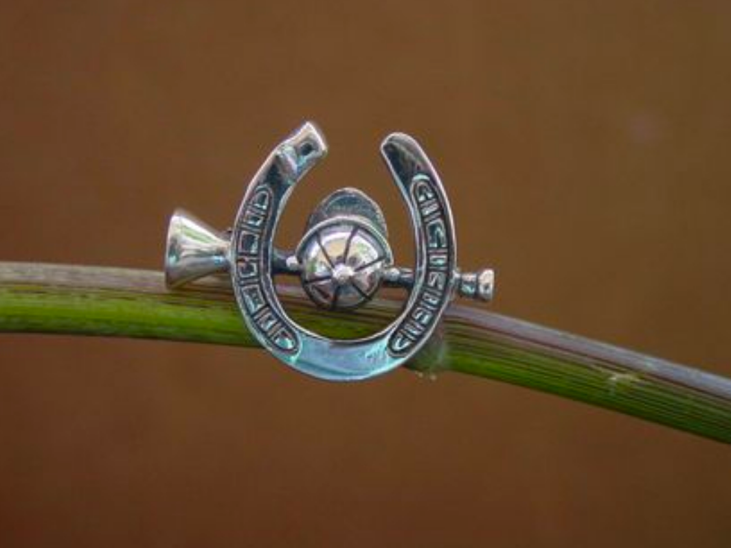 HORSESHOE PIN
