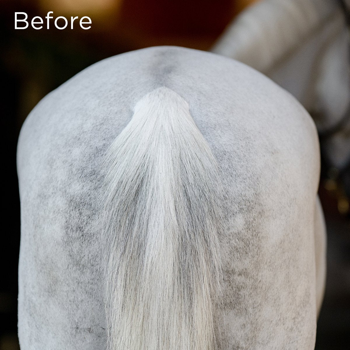 EQUIFIT NO HASSLE TAIL WRAP™