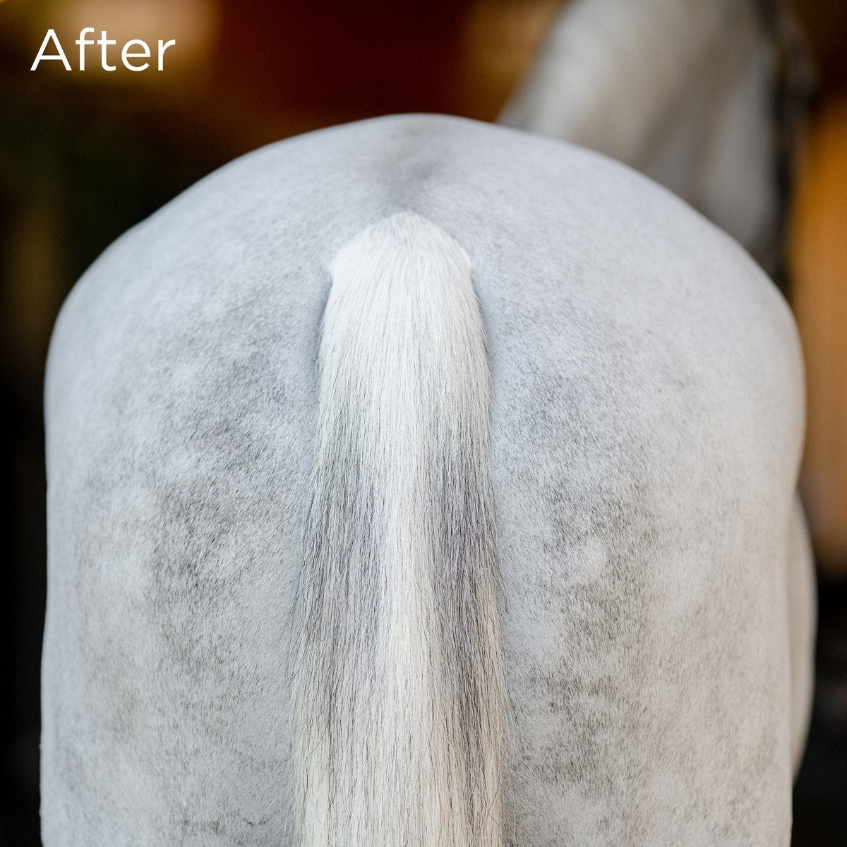 EQUIFIT NO HASSLE TAIL WRAP™