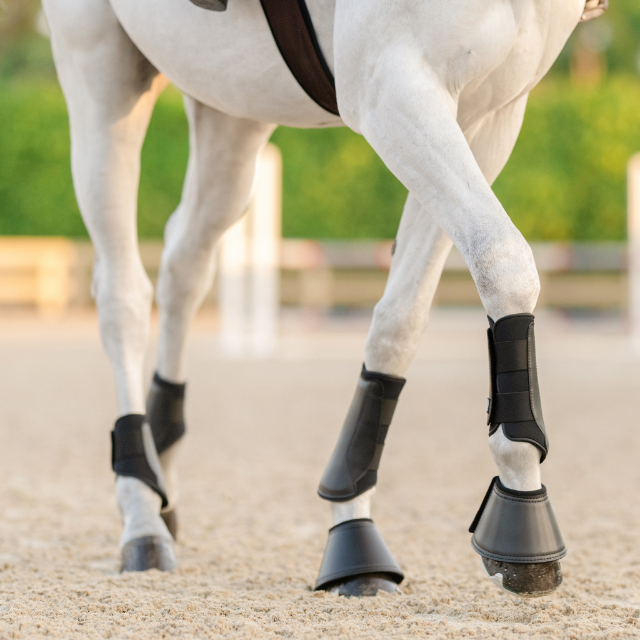 EQUIFIT ESSENTIAL® EVERYDAY™ FRONT BOOT