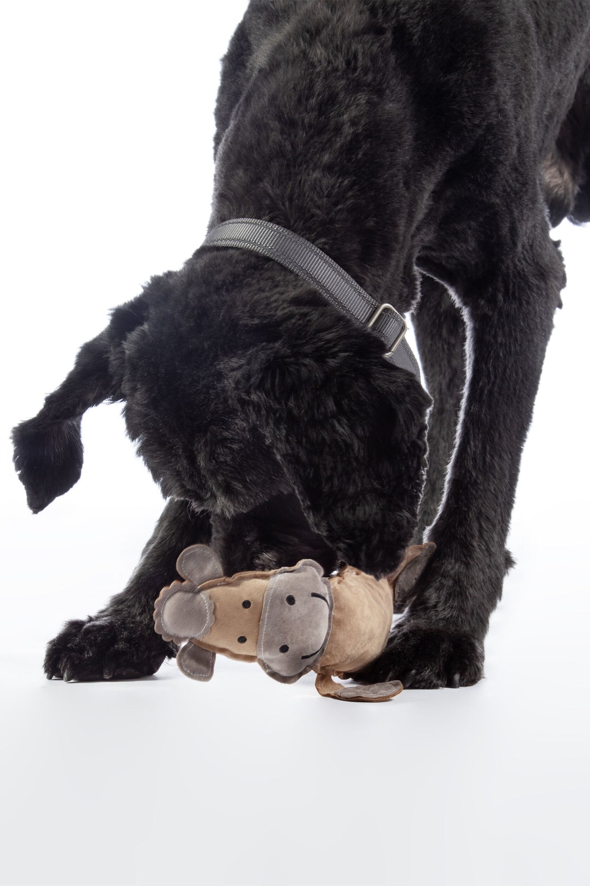 HKM DOG TOY - BUDDY HORSE