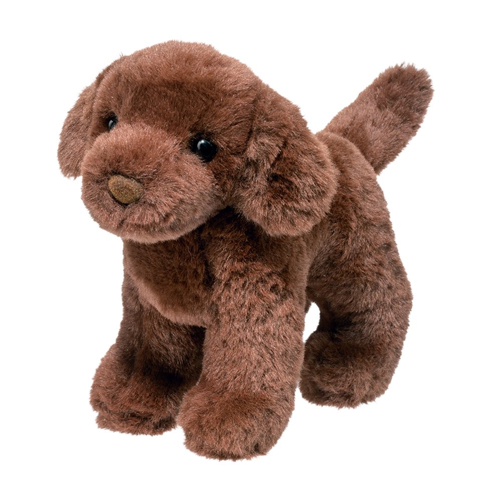 SYLVIA CHOCOLATE LAB