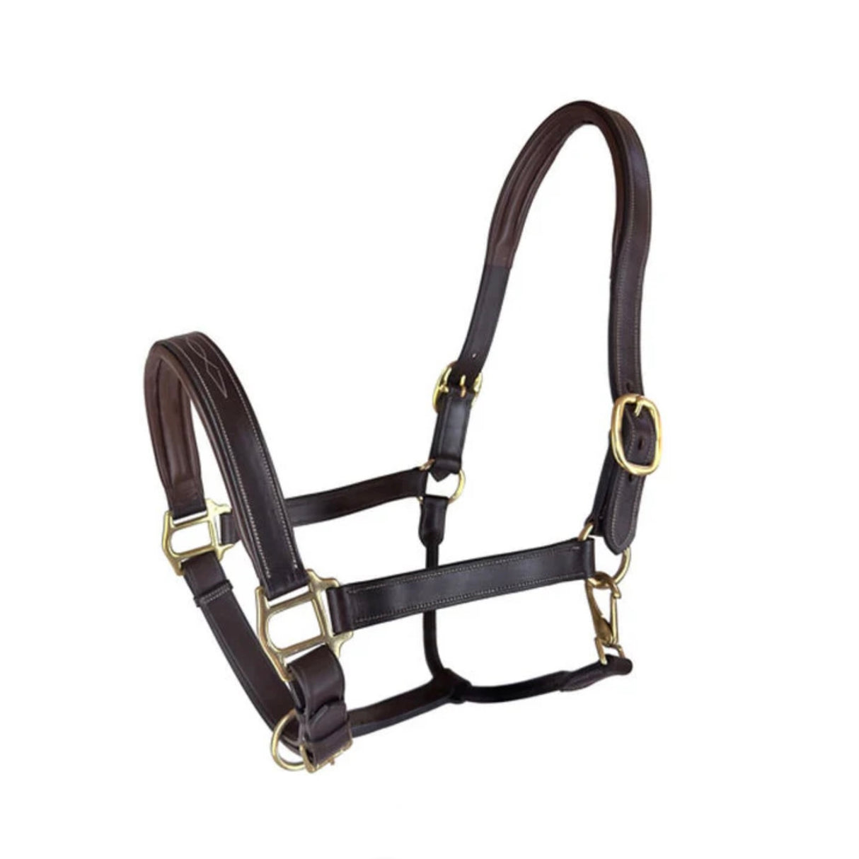 RHC PADDED HALTER W/ AMERICAN LEATHER