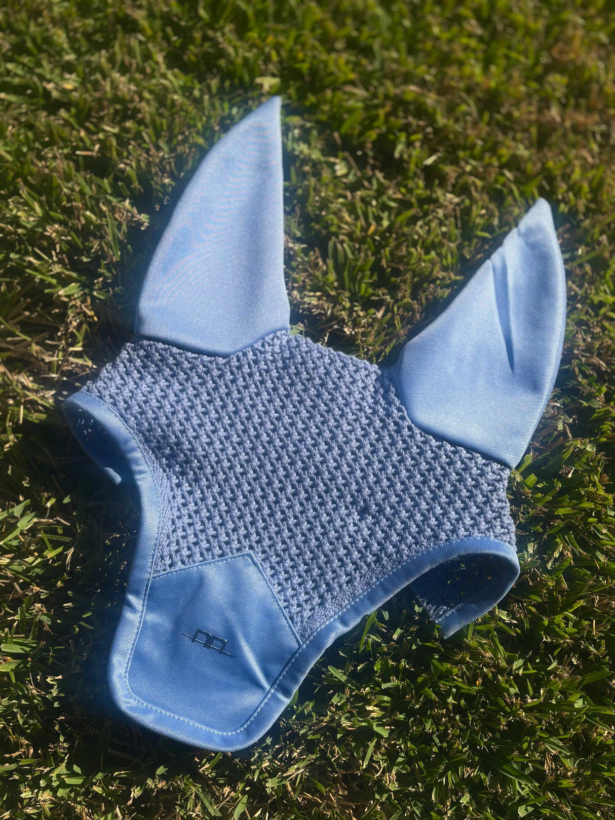 AA EAR NET