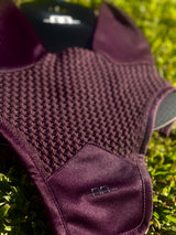 AA EAR NET