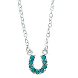 AWST RHINESTONE HORSESHOE NECKLACE