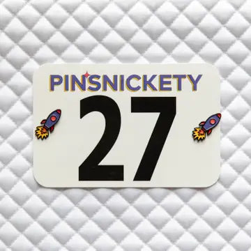 PINSNICKETY NUMBER PINS