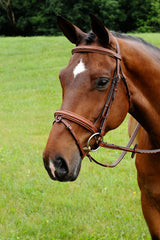 ADT STARMAN BRIDLE WITH RAISED FANCY LACED REINS