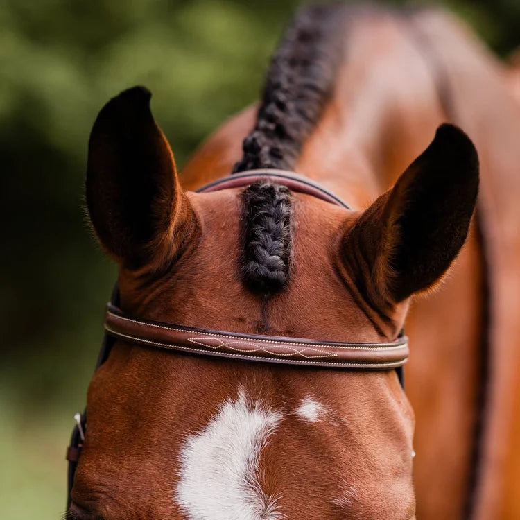 ADT STEALTH TRIBUTE BRIDLE WITH RAISED FANCY LACED REINS