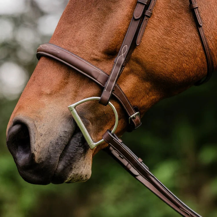 ADT STEALTH TRIBUTE BRIDLE WITH RAISED FANCY LACED REINS
