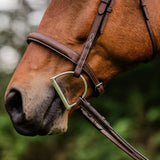 ADT STEALTH TRIBUTE BRIDLE WITH RAISED FANCY LACED REINS