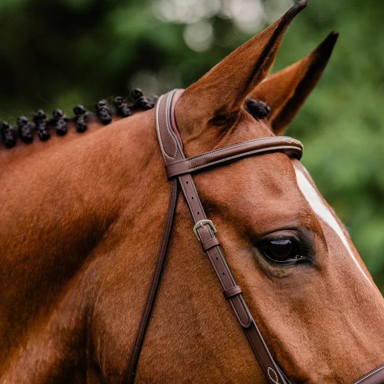 ADT STEALTH TRIBUTE BRIDLE WITH RAISED FANCY LACED REINS