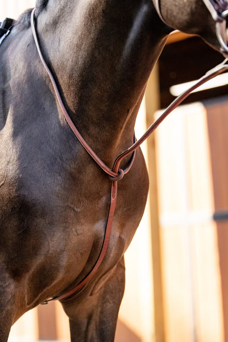 HUNTLEY FANCY STITCHED SCHOOLING STANDING MARTINGALE