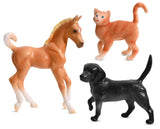BREYER MOBILE RESCUE & CARE CLINIC