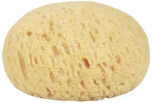 ROUND TACK SPONGE