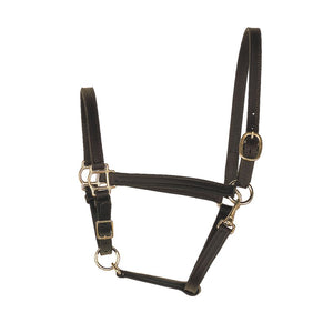 WEANLING LEATHER TURNOUT HALTER